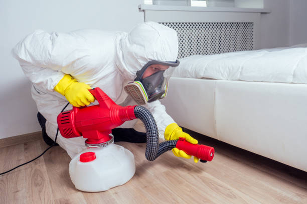 Best Residential Pest Control  in Old Jefferson, LA